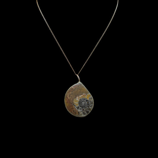 Ammonite Fossil Pendant Necklace