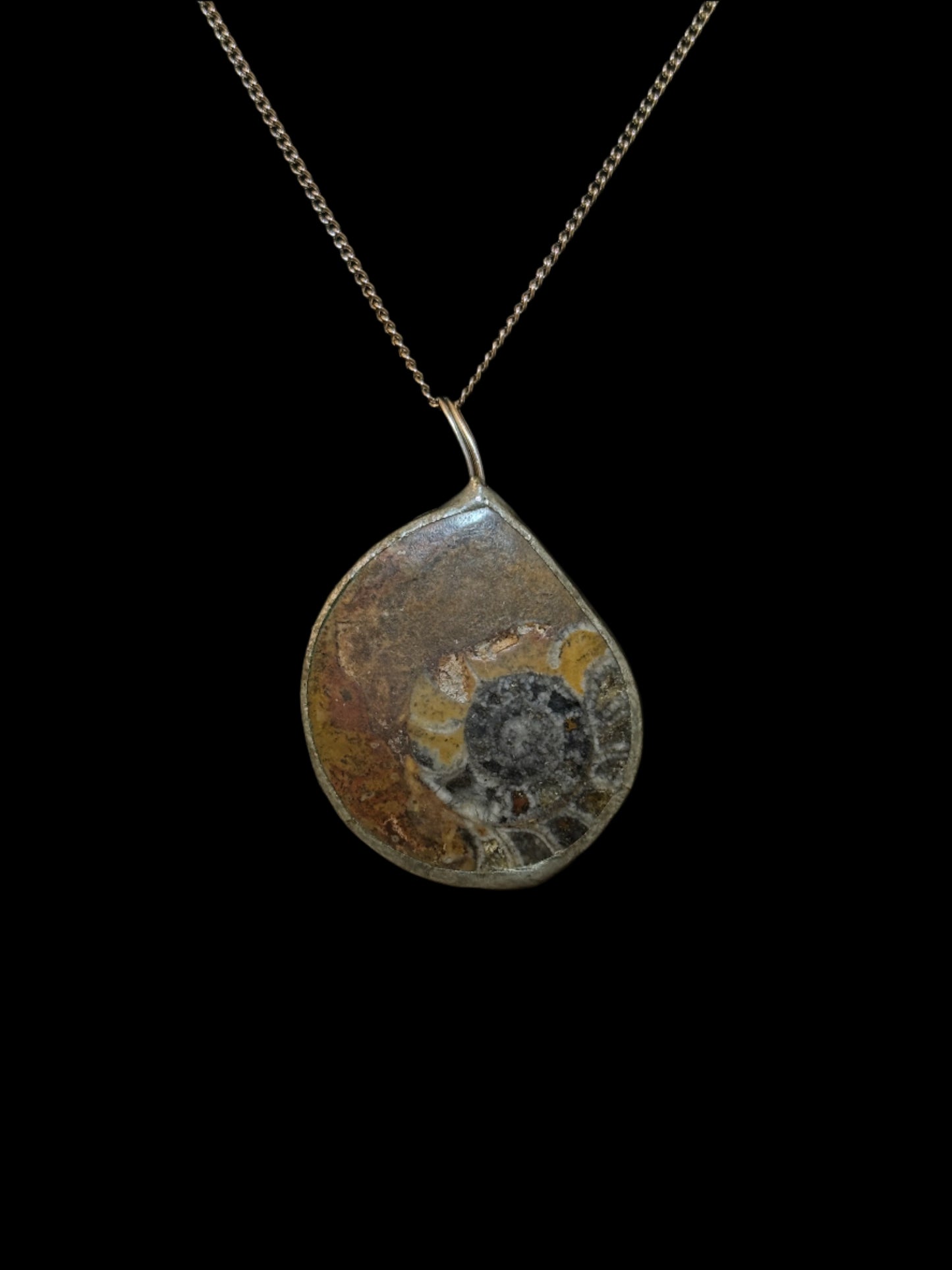 Ammonite Fossil Pendant Necklace