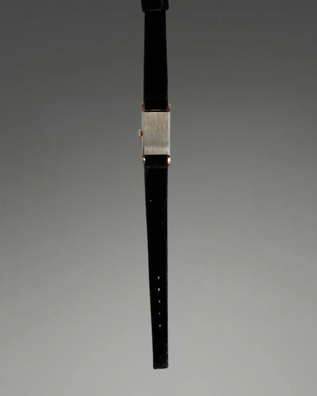 Rare Seiko Venus Diashock 17 Jewel