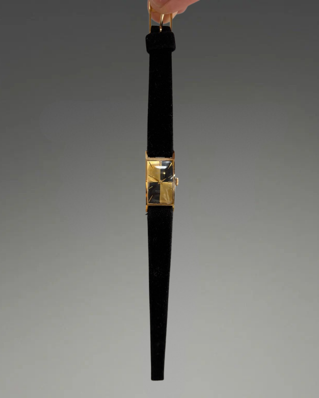 Rare Seiko Venus Diashock 17 Jewel