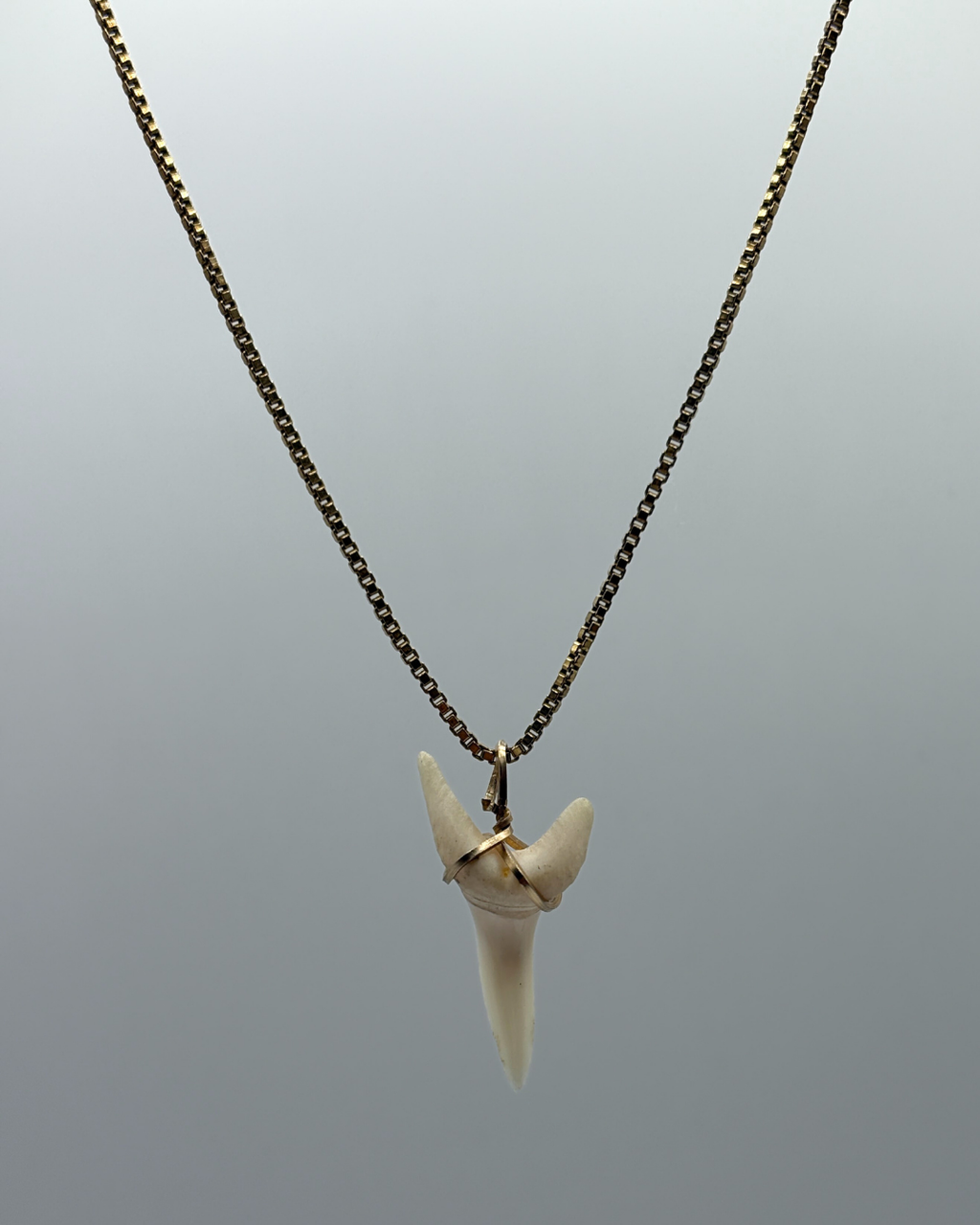 12ct Wire-wrapped Mako Shark Tooth Pendant