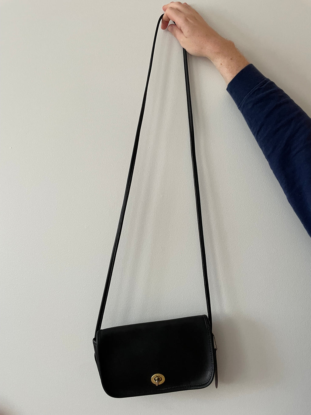 Ann Taylor Turn-lock Purse