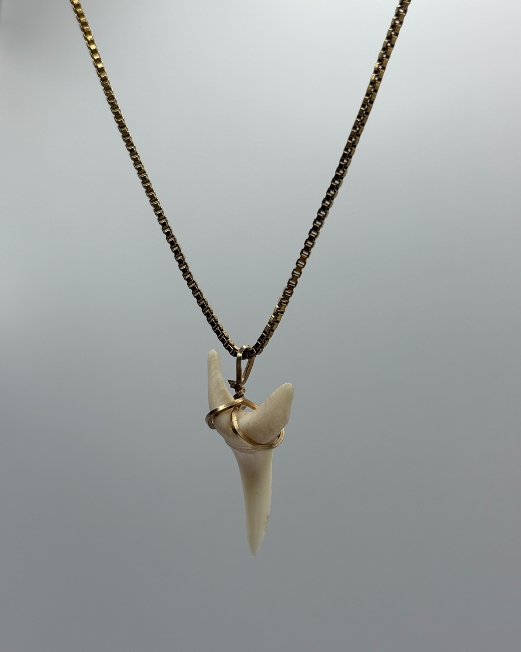 12ct Wire-wrapped Mako Shark Tooth Pendant