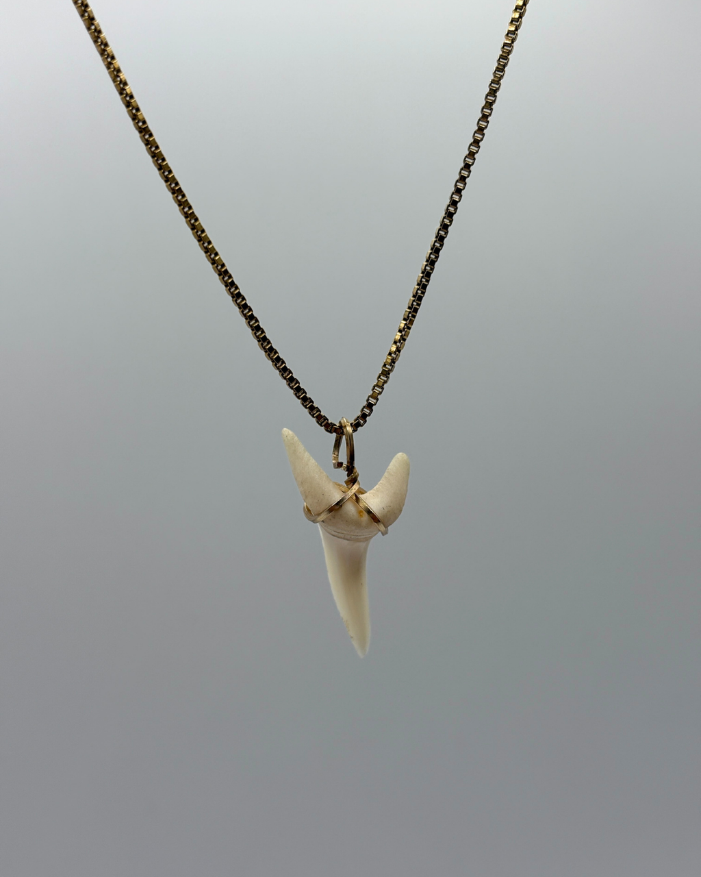 12ct Wire-wrapped Mako Shark Tooth Pendant
