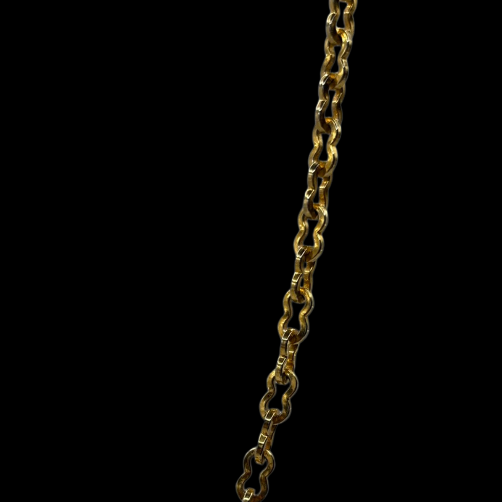 Gold Plated Watch Chain & Dog Clip Choker