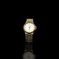 Bulova 855164 Two-toned Watch