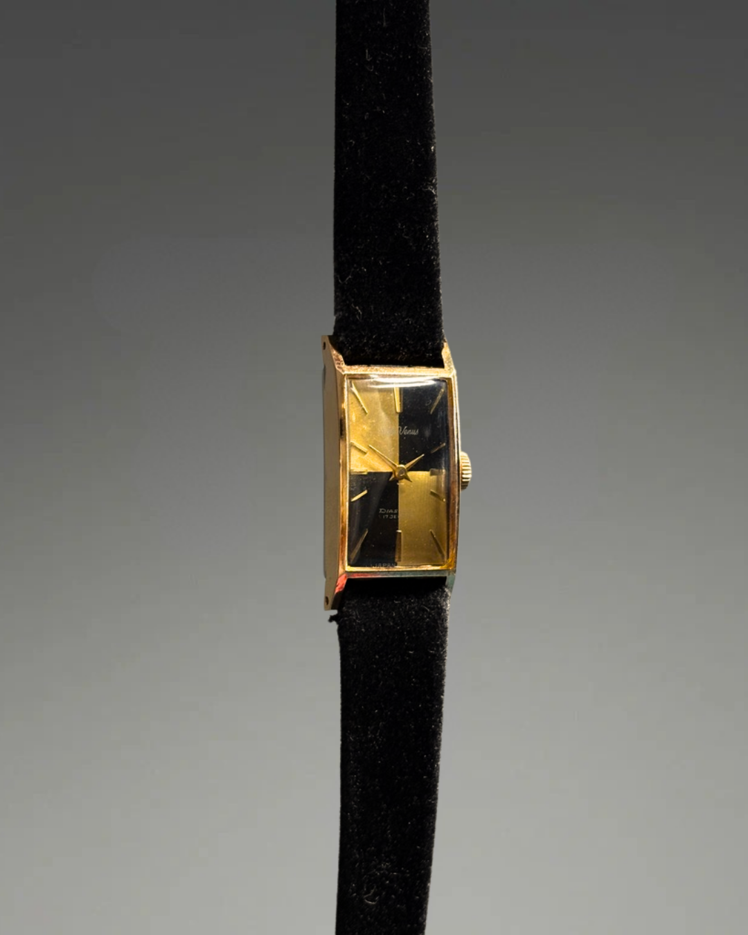 Rare Seiko Venus Diashock 17 Jewel