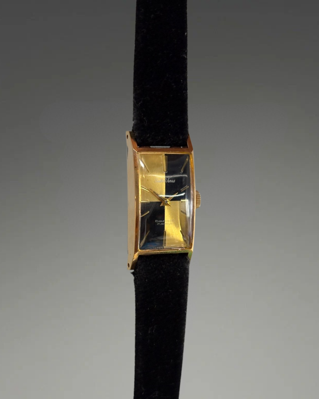 Rare Seiko Venus Diashock 17 Jewel