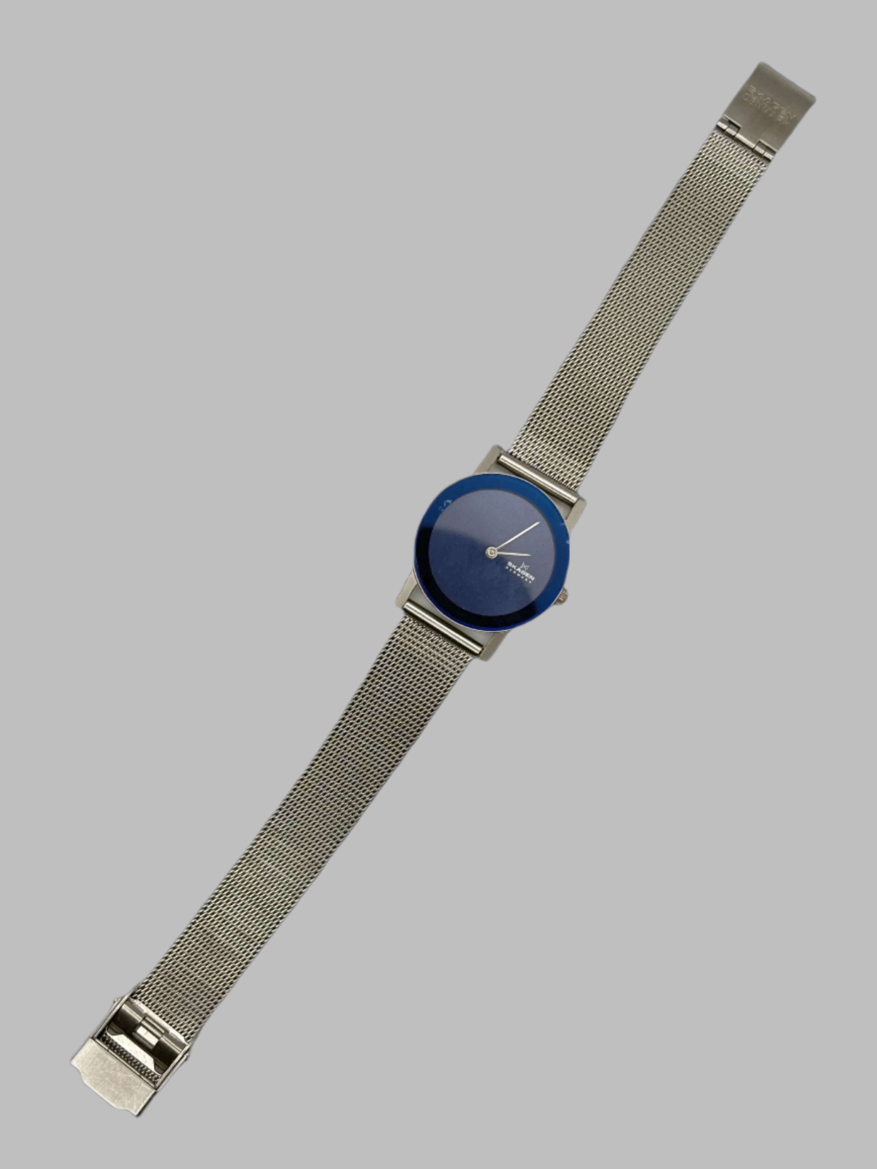 Skagen Blue Dial