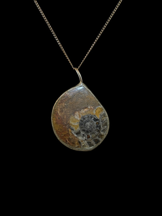 Ammonite Fossil Pendant Necklace