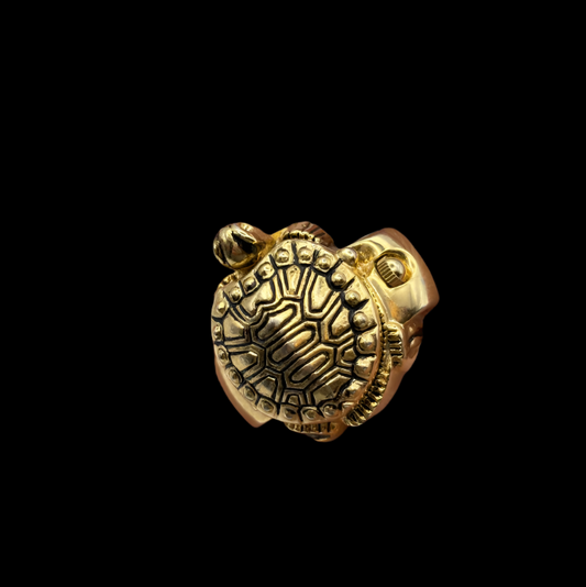 Turtle Watch Ring